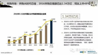 2016年中國(guó)股權(quán)投資市場(chǎng)回顧與展望 融資咨詢(xún)服務(wù)的機(jī)遇與挑戰(zhàn)