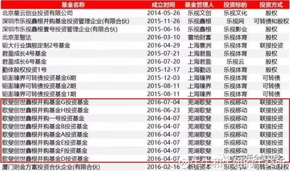 被樂視辜負的資本盛宴 大佬、明星與近百機構(gòu)的未解困局
